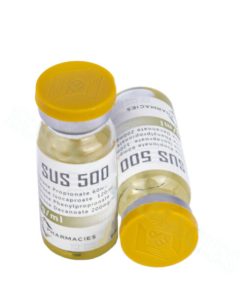 Sus 500 Gold-int