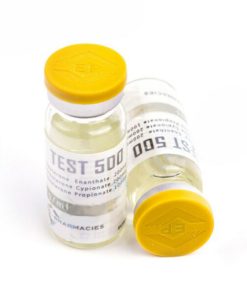 Test 500